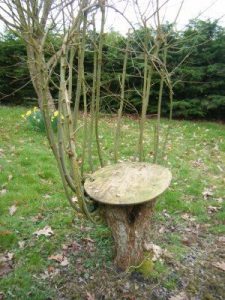 Ancient Technique Lets Forests Produce Timber Without Killing Trees Image
